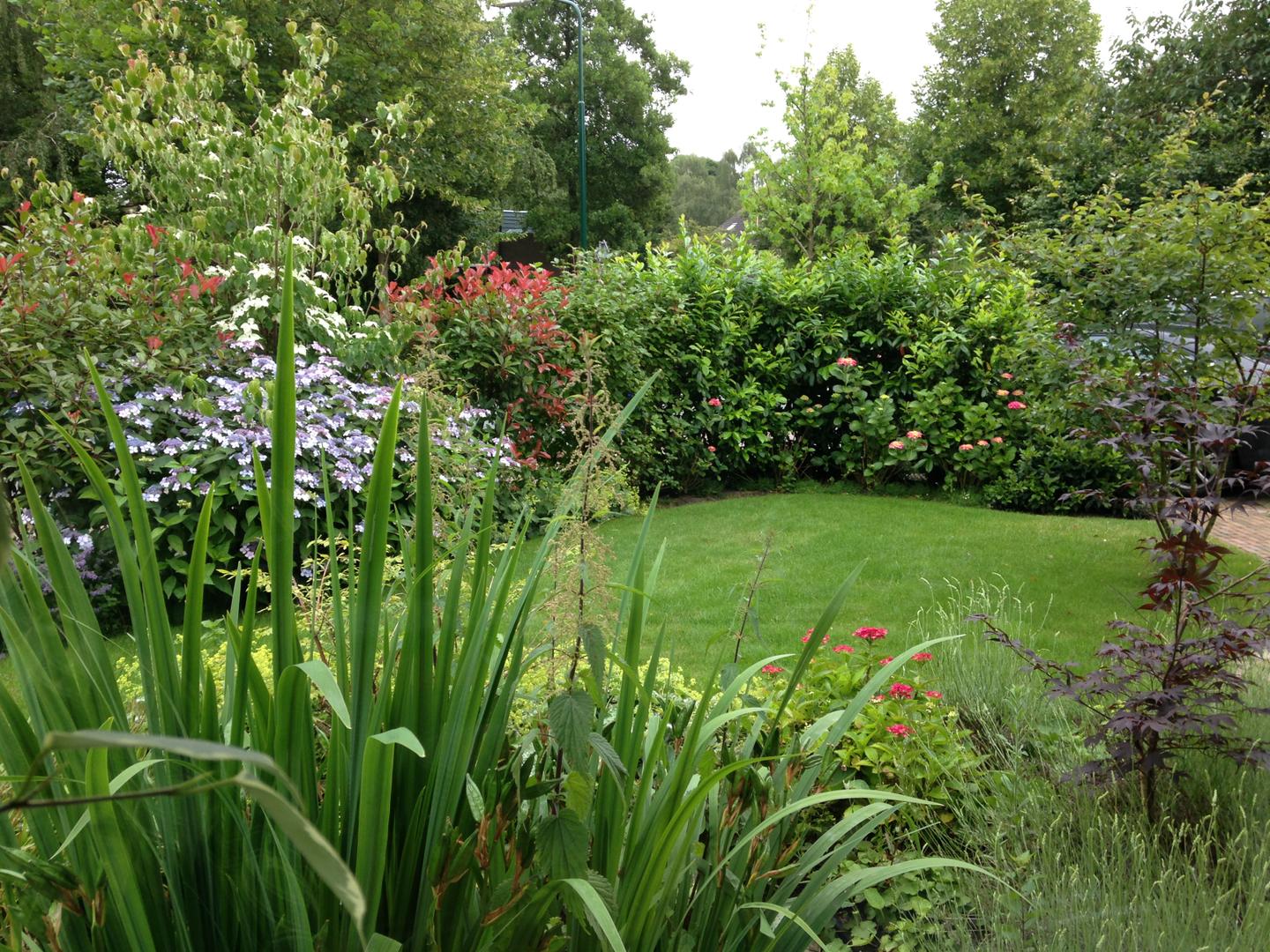 Borders in volle bloei