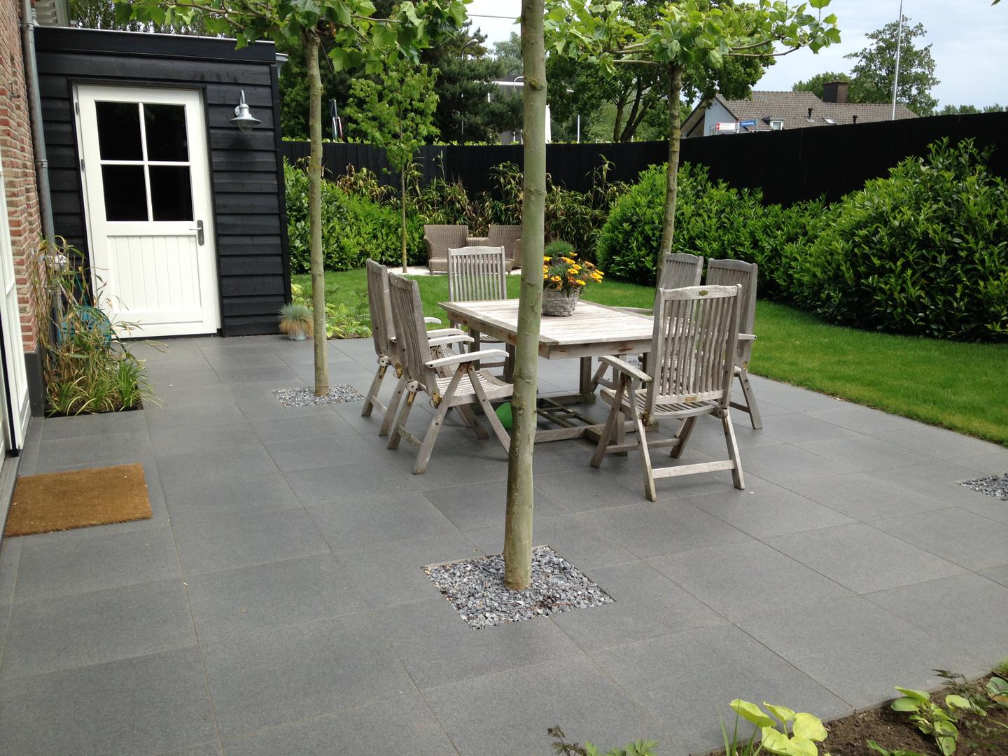 Terras met dakplatanen